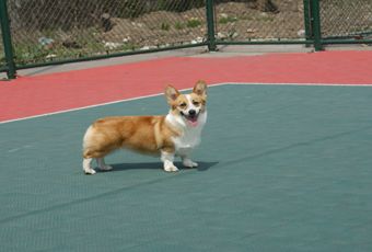 DSC09917.jpg