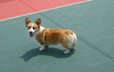 DSC09904 副本.jpg