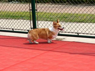 DSC09923 副本副本.jpg