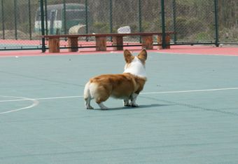 DSC09877 副本.jpg