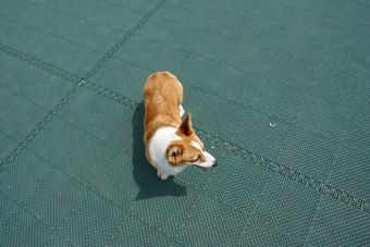 DSC09902 副本.jpg