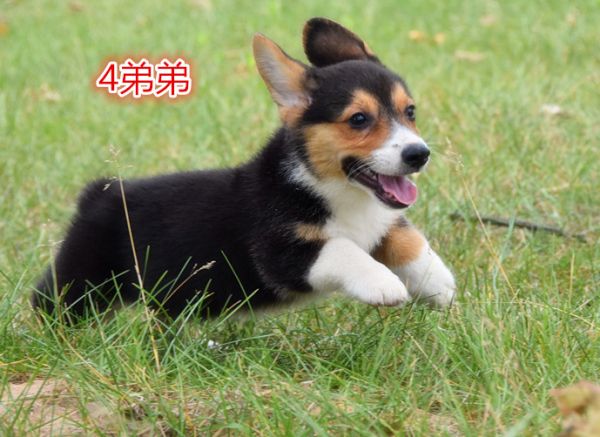 DSC_2319.JPG