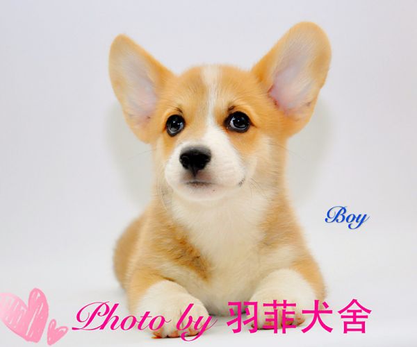 IMG_0012_副本.jpg