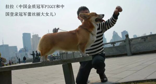 psb副本.jpg