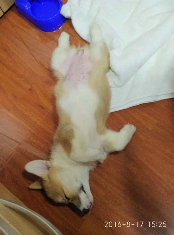 睡姿太美不敢看