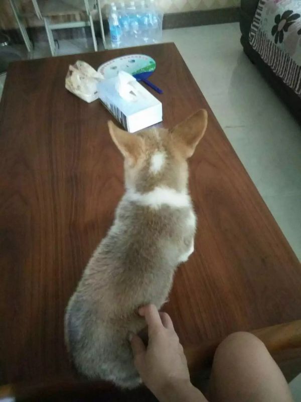 image.jpg