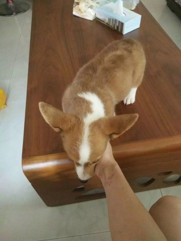image.jpg