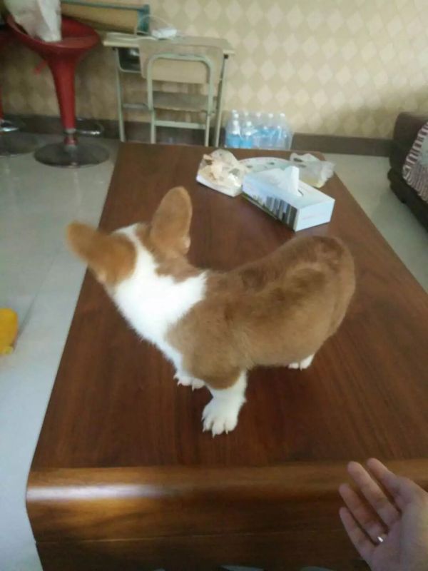 image.jpg