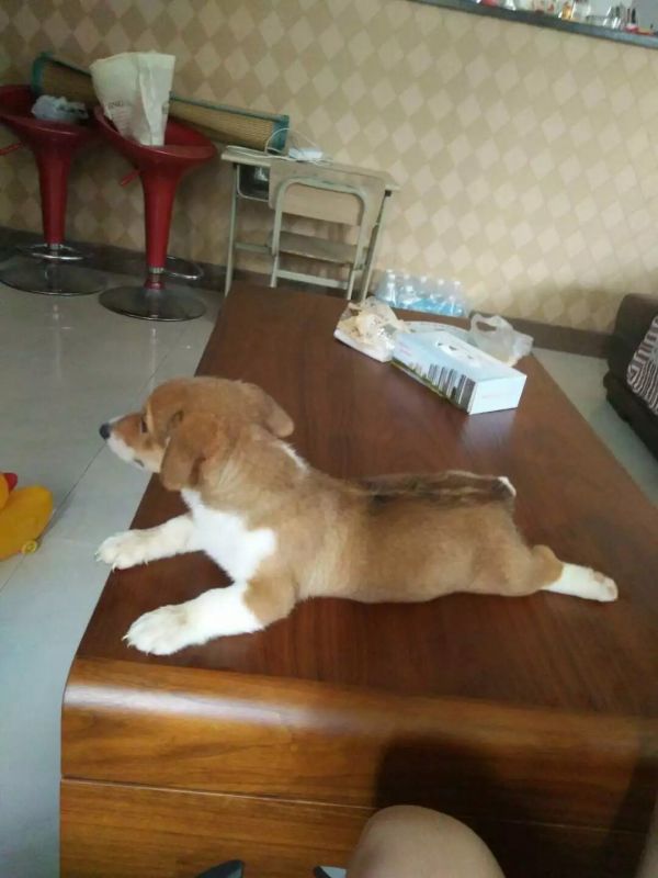 image.jpg