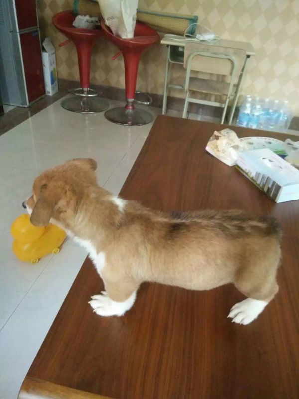 image.jpg