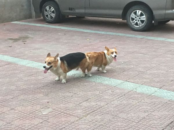 QQ图片20160619133727.jpg