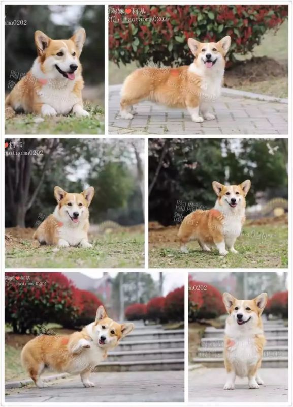 爸爸.jpeg