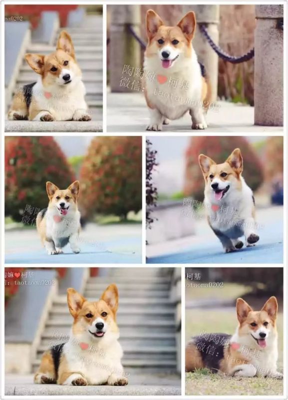 妈妈.jpg