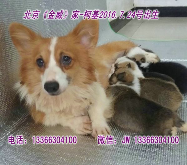 20160812_124002.jpg