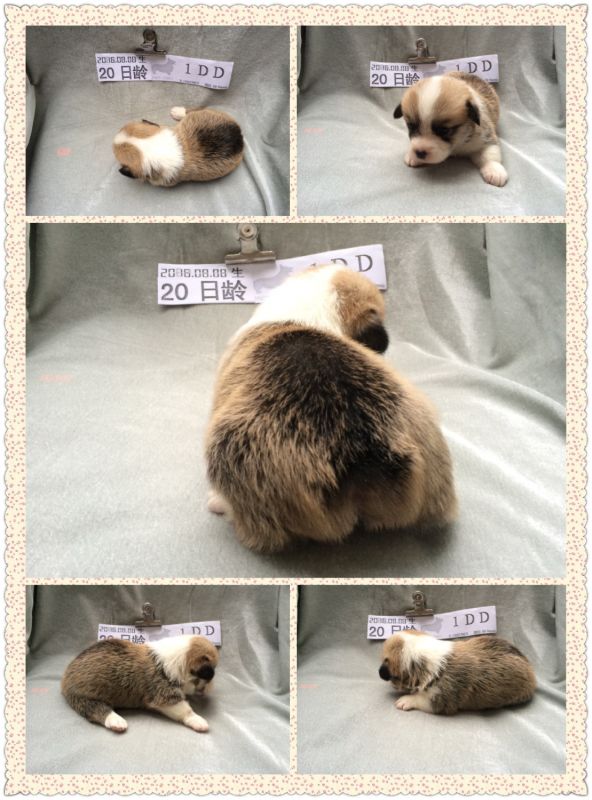 QQ图片20160918111253.jpg