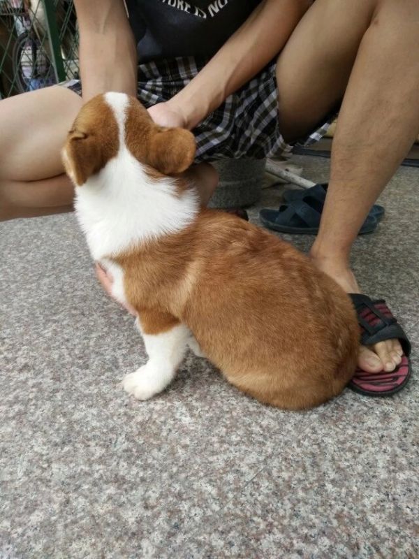 image.jpg