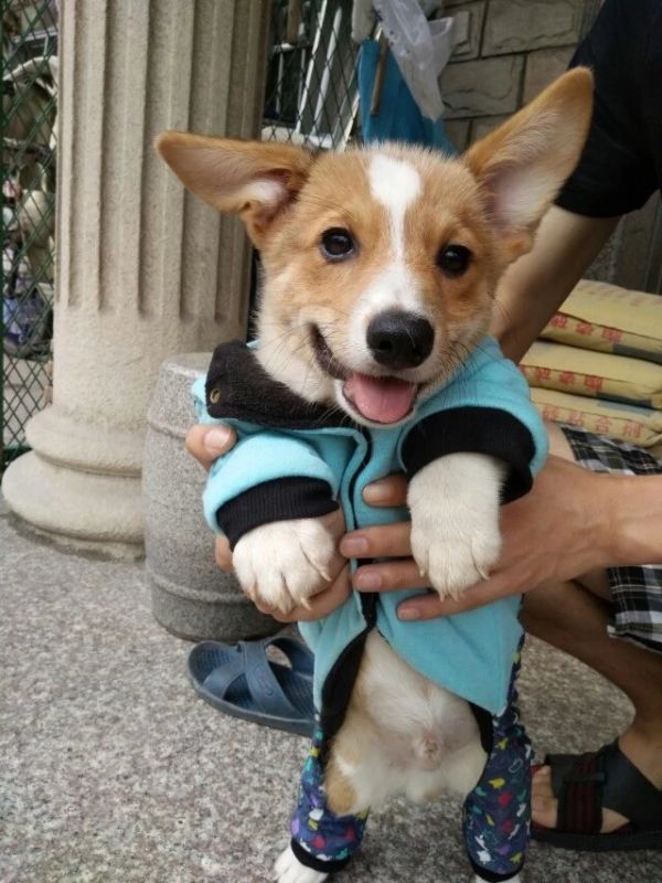 image.jpg