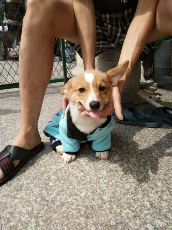 image.jpg