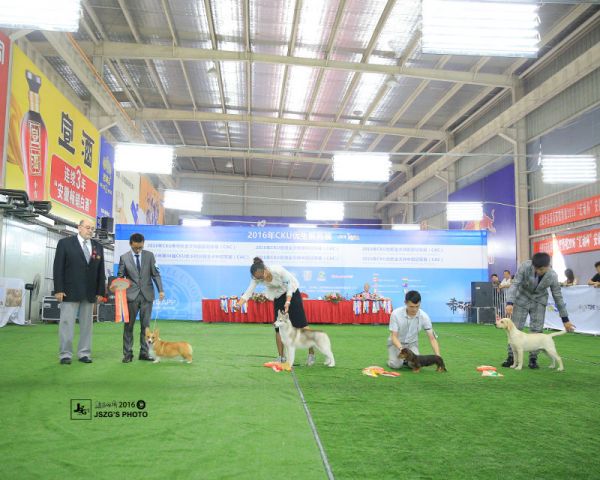 新建文件夹IMG_0790.JPG