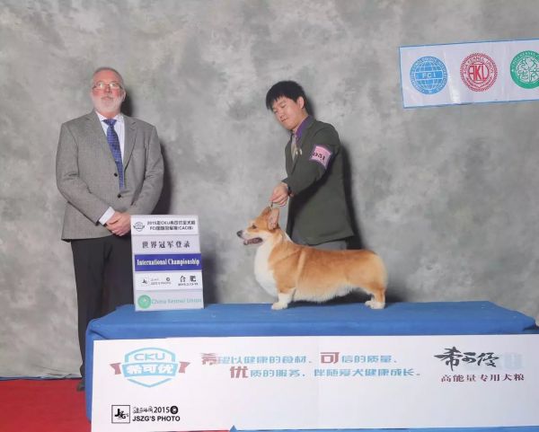 大圣.jpg