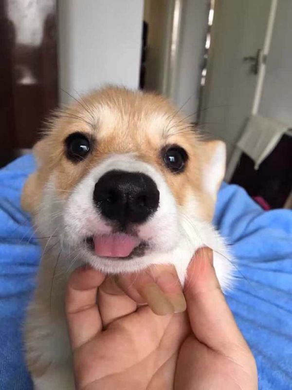 image.jpg