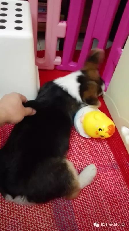 640 (9).JPG