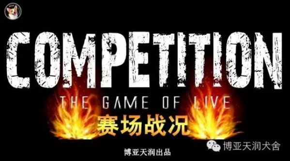 640.JPG