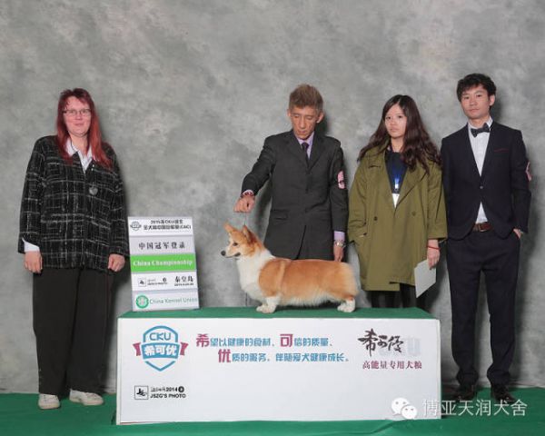 640 (6).jpg