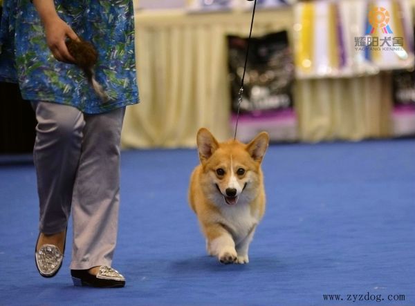 DSC_8972.jpeg