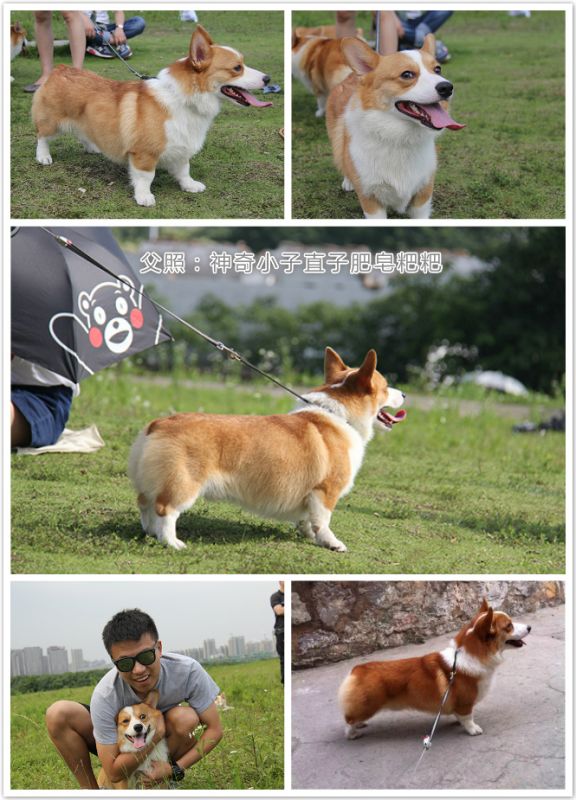 肥皂.jpg
