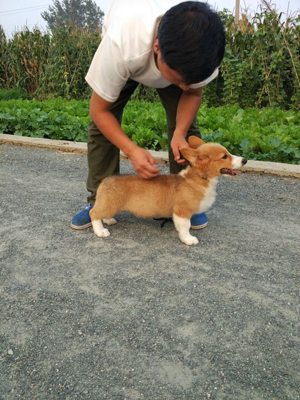 QQ图片20160915200829.jpg