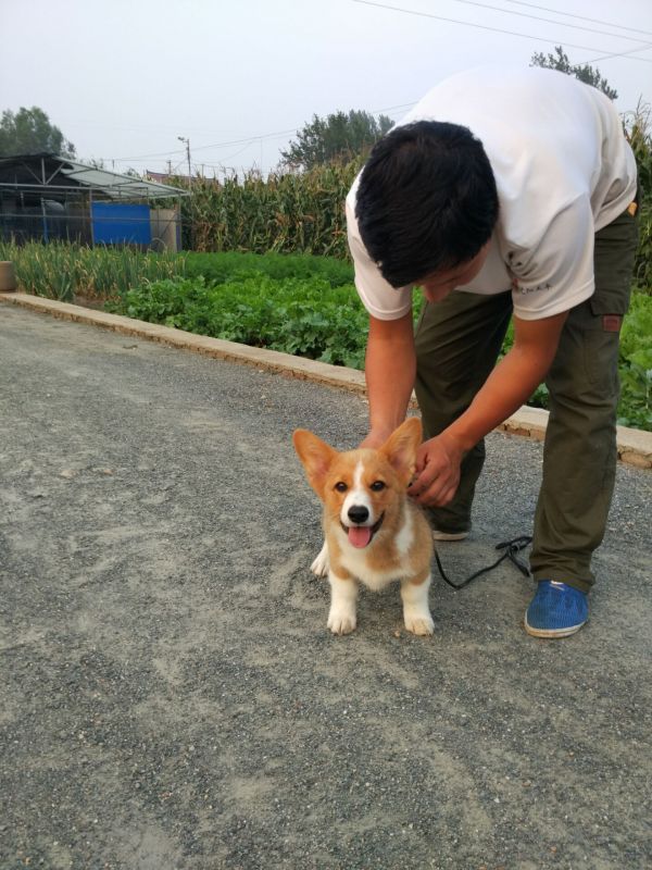 QQ图片20160915200855.jpg