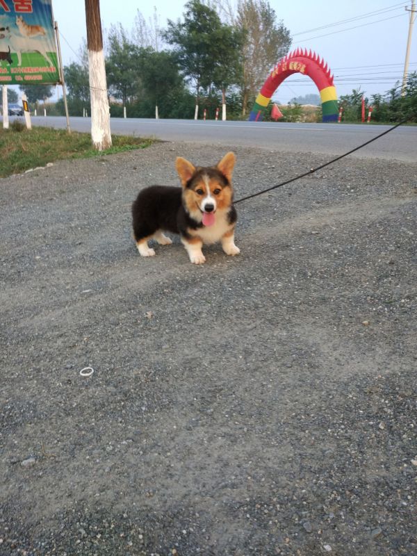 QQ图片20160915201356.jpg