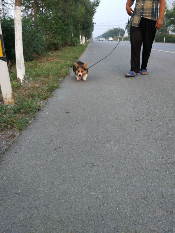 QQ图片20160915201402.jpg