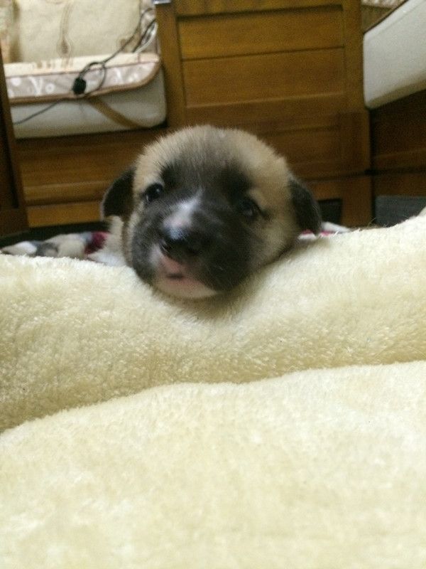 IMG_8083.JPG