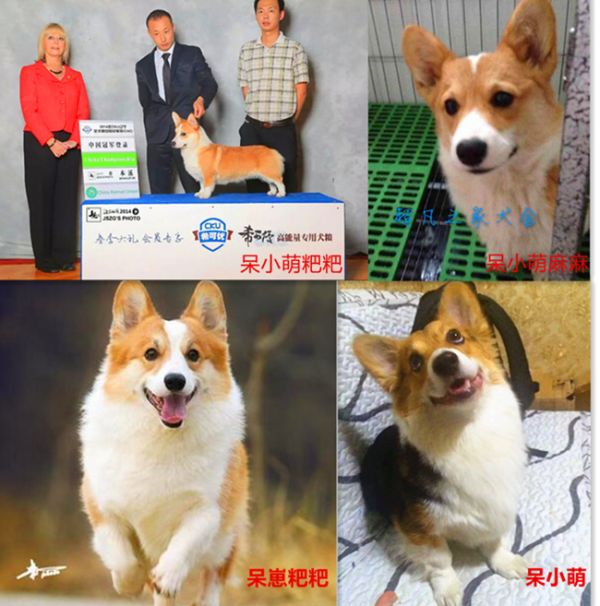psb111_副本.jpg