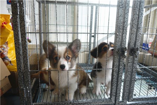 P1100700.jpg