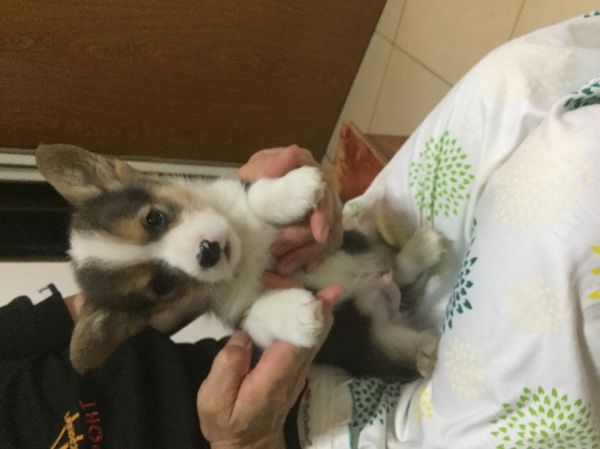一号公