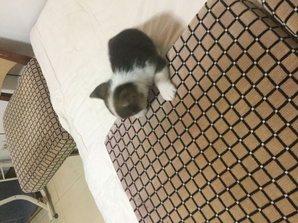 一号公