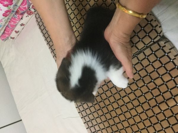 三号公