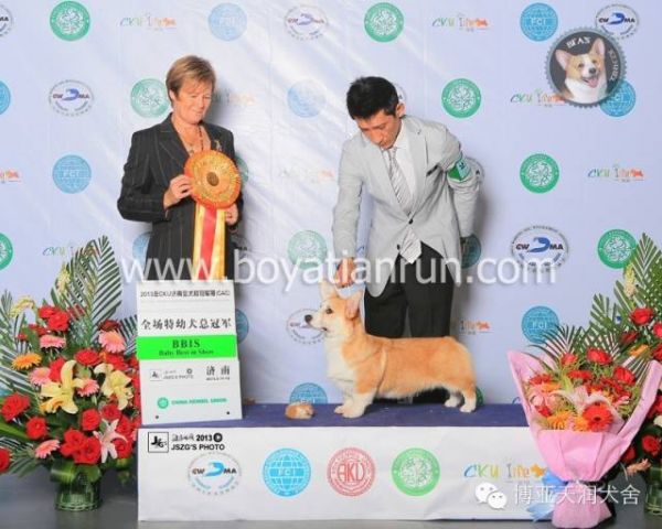 640 (1).jpg