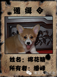 640 (2).png