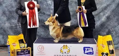 一只耳2.jpg