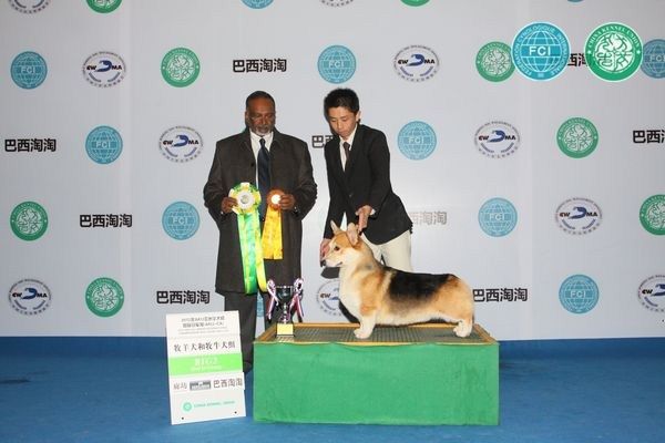 一只耳5.jpg