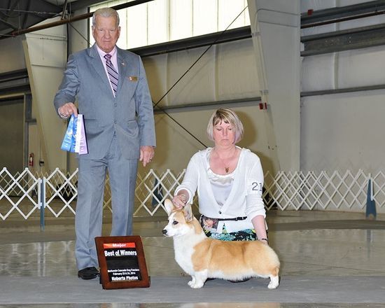 124603wevhh8l6vvvte4v6 (1).jpg