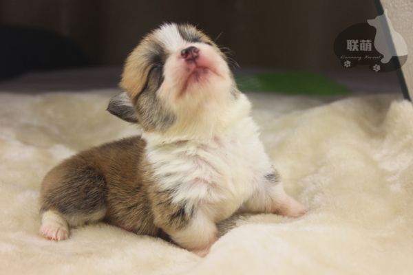 IMG_5191.jpg