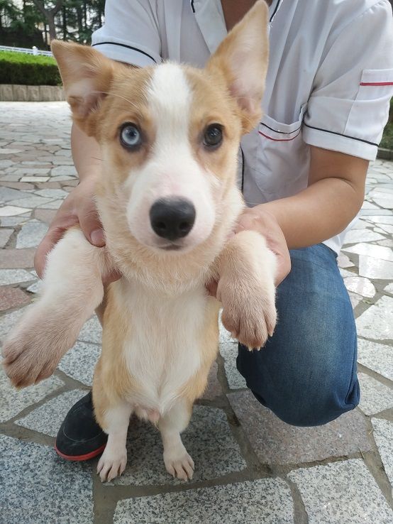 IMG_20160922_102450.jpg