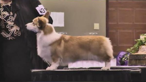 g34.jpg