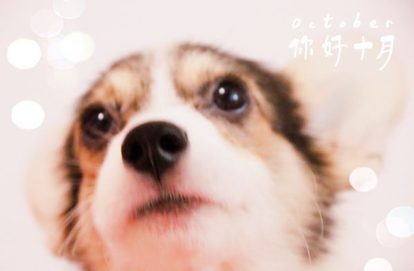 image.jpeg