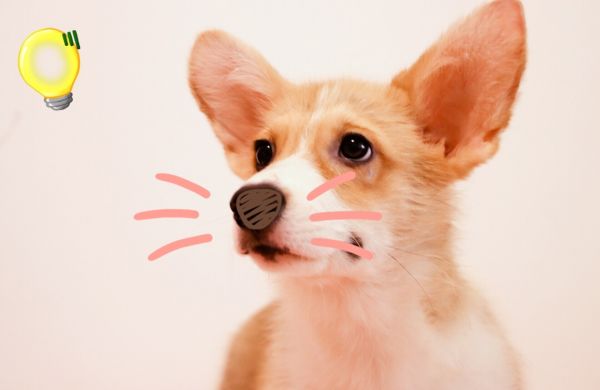 image.jpeg